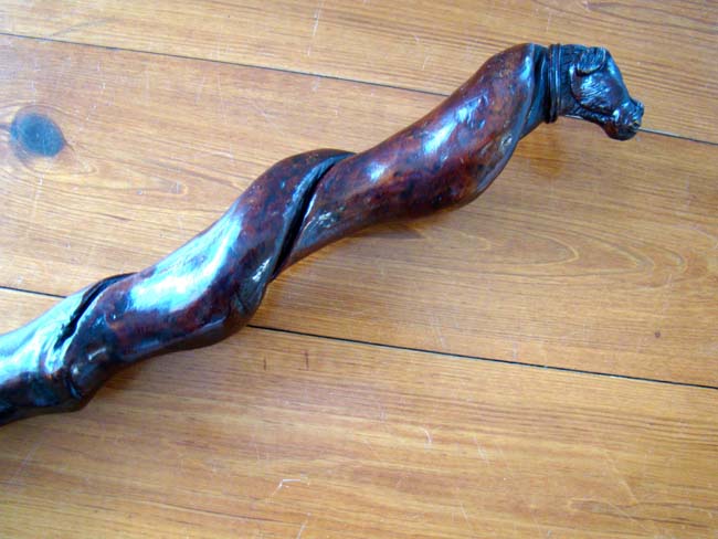 A fabulous 19th century carved walking stick with dog's head knob circa 1875 — image 5